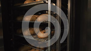 A lot of ready-made fresh bread in a bakery oven in a bakery. Bread making business. Fresh bread from cereals with seeds