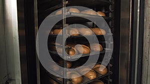 A lot of ready-made fresh bread in a bakery oven in a bakery. Bread making business. Fresh bread from cereals with seeds