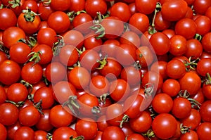 A lot of red, ripe tomato close-up