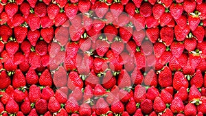 A lot of ripe strawberries background. The concept of healthy food