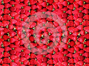 A lot of ripe strawberries background. The concept of healthy food