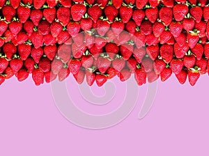 A lot of ripe strawberries with space for text on a lilac background. The concept of healthy food