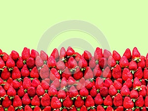A lot of ripe strawberries with space for text on a lime green background. The concept of healthy food