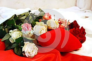 A lot of roses, scarlet, white and rose