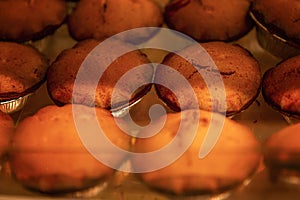 A lot of rosy portioned cupcakes on the counter in a store. Traditional pastries and dessert. Close-up