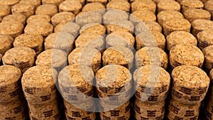 A lot of rows different wooden champagne or wine corks from cork tree. Use as pattern or background. Selective focus. Foreground