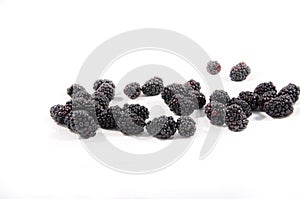 Lot`s of blackberry`s