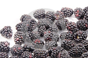 Lot`s and lot`s of blackberry`s