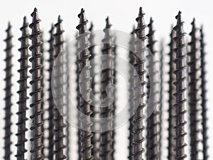 A lot of self-tapping screws, black and long, stand upright on a white background. Close-up. Hardware, ironware, ironmongery,