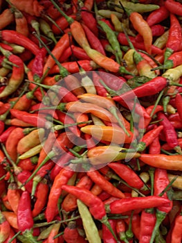 A lot of spicy chillies