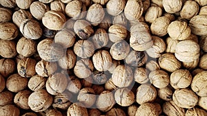 Whole walnuts as background