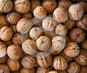 a lot of walnuts Walnut closeup