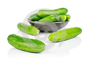 Fresh green baby cucumber isolated on white photo