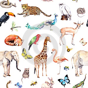 A lot of wild animals, birds, insects - zoo, wildlife background. Elephant, giraffe, deer, owl, parrot, bee, flamingo