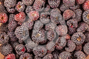 Lot of wild raspberry pattern ready to eat ripe fruits