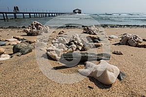 lot of wonderful little corals and stones at the sandy beach