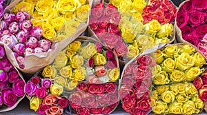 Lot of yellow,pink, red bouquets rose with wrapper in the market