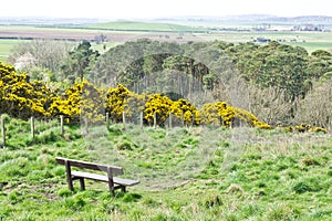 Lothian landscape