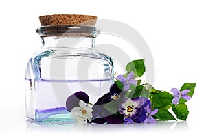 Lotion of pansies and violets