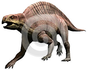 Lotosaurus