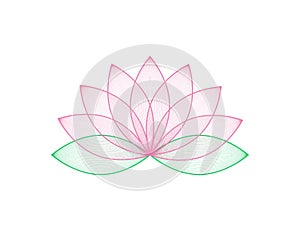 Lotous flower in pink color. Lotos flower in trendy flat design