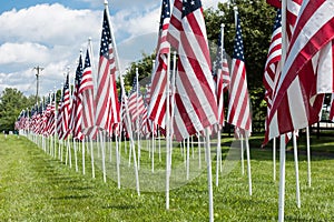 Lots of American flags. Traditions of Celebrating Memorial Day, Independence Day and Veterans Day in the United States