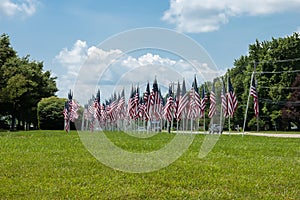 Lots of American flags. Traditions of Celebrating Memorial Day, Independence Day and Veterans Day in the United States