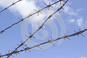 Lots of rusted barbwires together