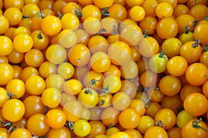 Lots of BC Fresh Yellow Cherry Tomatoes at the market