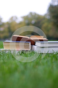 Lots of books on the grass