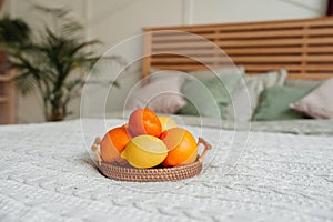 Lots of citrus fruits oranges, tangerines and lemons on wooden wicker eco tray on light knitted blanket on cozy boho style bed.
