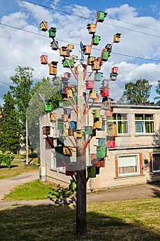 Lots of colorful nesting boxes on a tree
