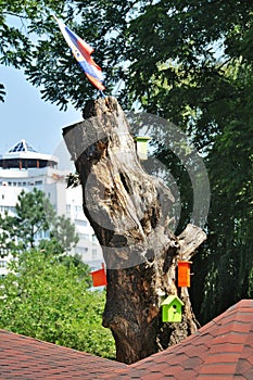 Lots of colorful wooden birdhouses on a tree