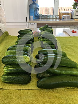 Lots of cucumbers on a green towel