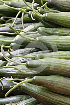 Lots of cucumbers at market