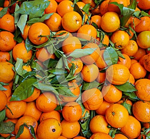 Lots of eco friendly oranges