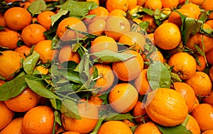 Lots of eco friendly oranges