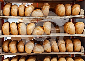 Lots fresh crisp loaves of bread. Shelves full with fresh golden bread. Freshly baked bread lies on the shelf for sale