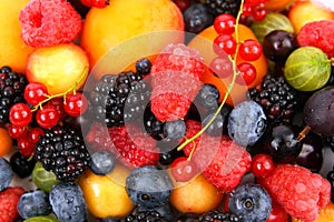 Lots of fresh different berries