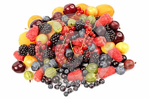 Lots of fresh different berries