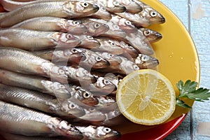 Lots of fresh smelt fish on white plate, Gutted fish