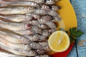 Lots of fresh smelt fish on white plate, Gutted fish