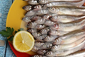 Lots of fresh smelt fish on white plate, Gutted fish