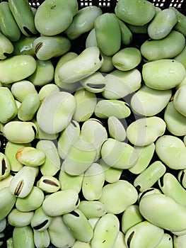 Raw broad beans