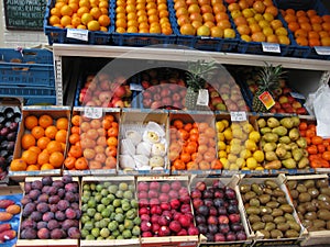 Lots of fruit