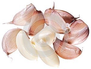 Lots garlic clove on a white background.