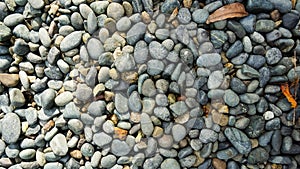 Lots of grey, black, white pebble stone texture background with dried orange leaves