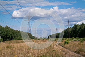 Lots of high-voltage towers and wires running between the woods, forest.