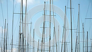 Lots of high yacht and ship masts in port over clear blue sky