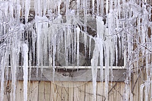 Lots of Icicles